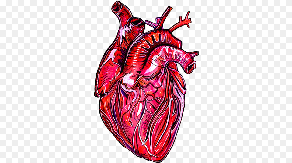 Artistic Anatomy Human Heart Heart Anatomy, Person, Skin, Tattoo, Food Free Transparent Png