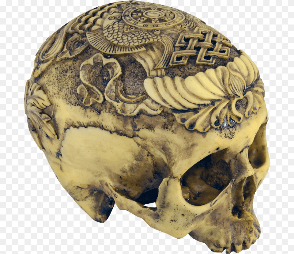 Artistic Carved Human Skull Carved Human Skull Art Free Png