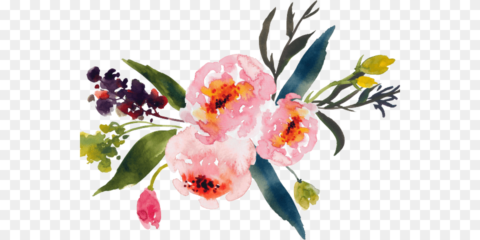 Artistic Clipart Watercolor Paint Watercolor Flower Transparent Background, Plant, Flower Arrangement, Petal, Pattern Free Png