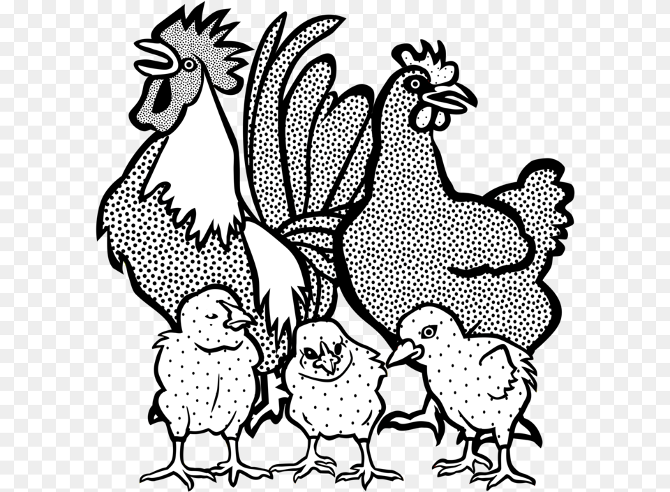 Artlivestockfowl Chicken Sound Clipart Black And White, Animal, Poultry, Fowl, Bird Png Image