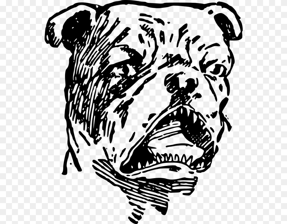 Artmonochrome Photographycarnivoran Angry Bulldog, Gray Free Png