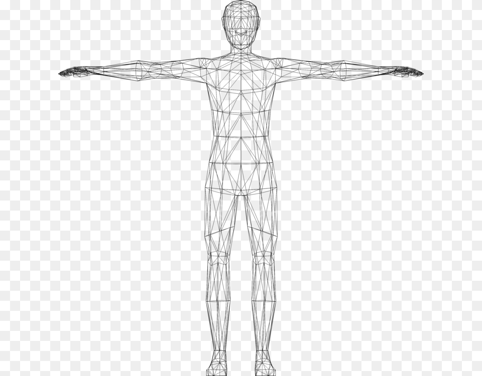 Artskeletonback Human Body Clipart, Gray Free Png