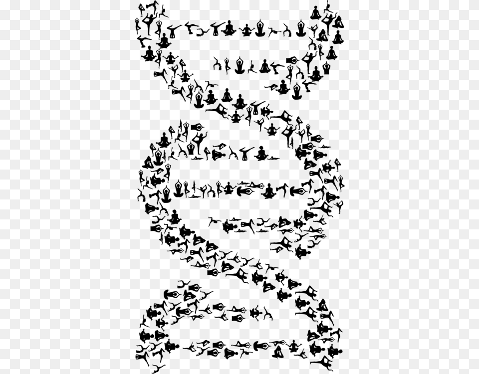 Artsymmetrymonochrome Photography Double Helix Dna Black And White, Gray Png Image