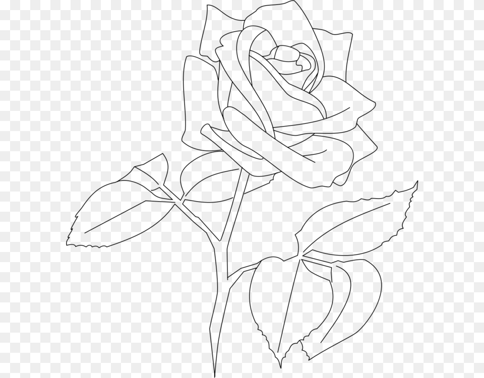 Artsymmetrymonochrome Photography Flower Line Art Rose, Gray Png Image