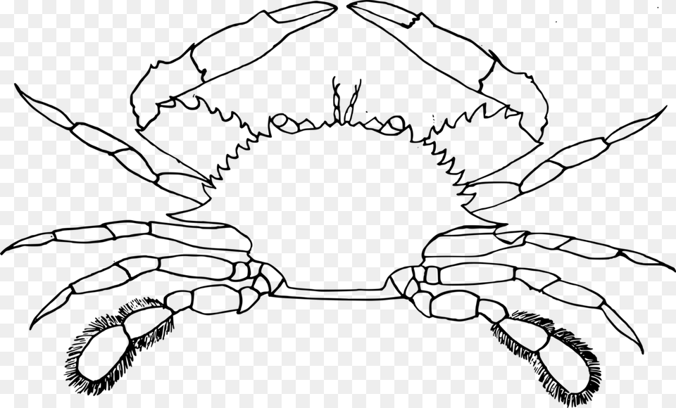 Artsymmetryplant Crab Clip Art Black And White, Gray Png