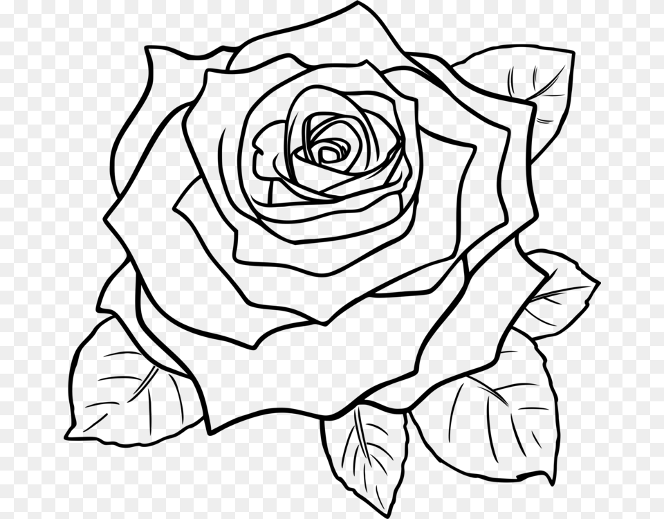 Artsymmetryrose Order Rose Clipart Black And White Flowers, Gray Png