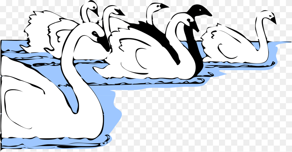 Arttextbeak Many Swans Clipart, Baby, Person, Animal, Bird Free Transparent Png