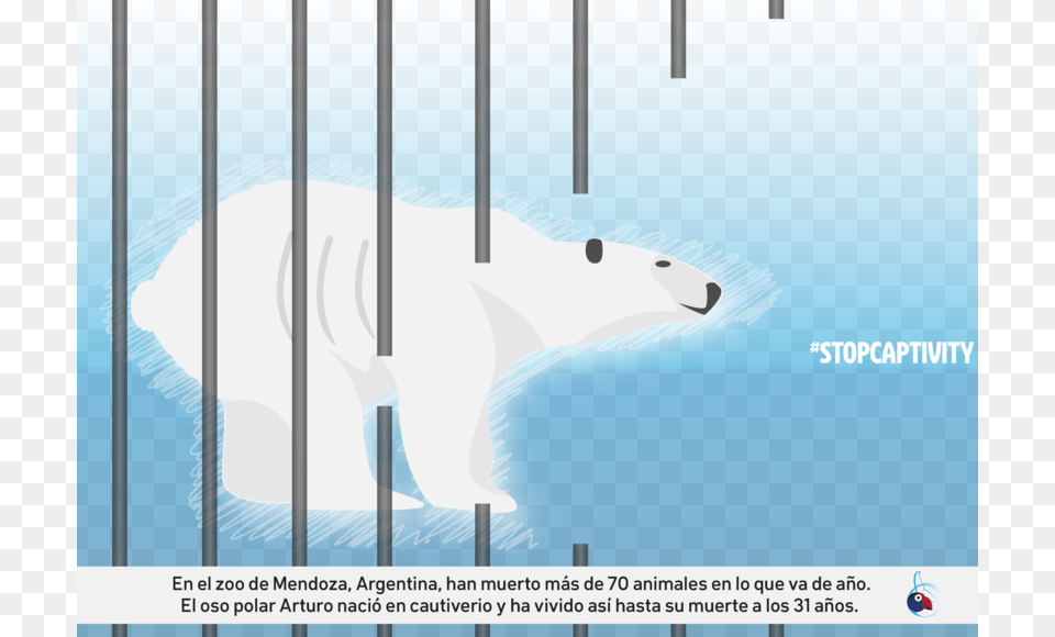Arturo Es Big Polar Bear, Animal, Mammal, Wildlife, Polar Bear Free Transparent Png
