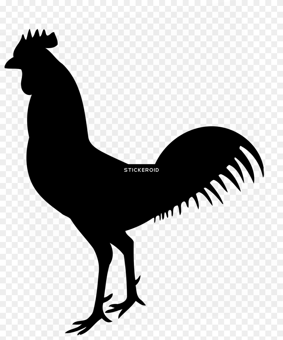 Artwingfowlfeather Cock Silhouette, Text, Outdoors, City Png