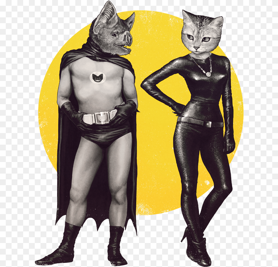 Artwork 2fwpsn7a6bduq7pl5mxlgt Nd0uigr7rlhbatk9vzyy Cat Dressed As Catwoman, Adult, Person, Man, Male Png Image