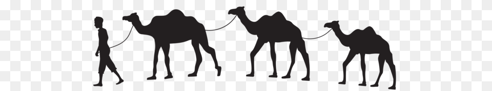 Artworks In Art Clip Art, Animal, Camel, Mammal, Person Free Png Download