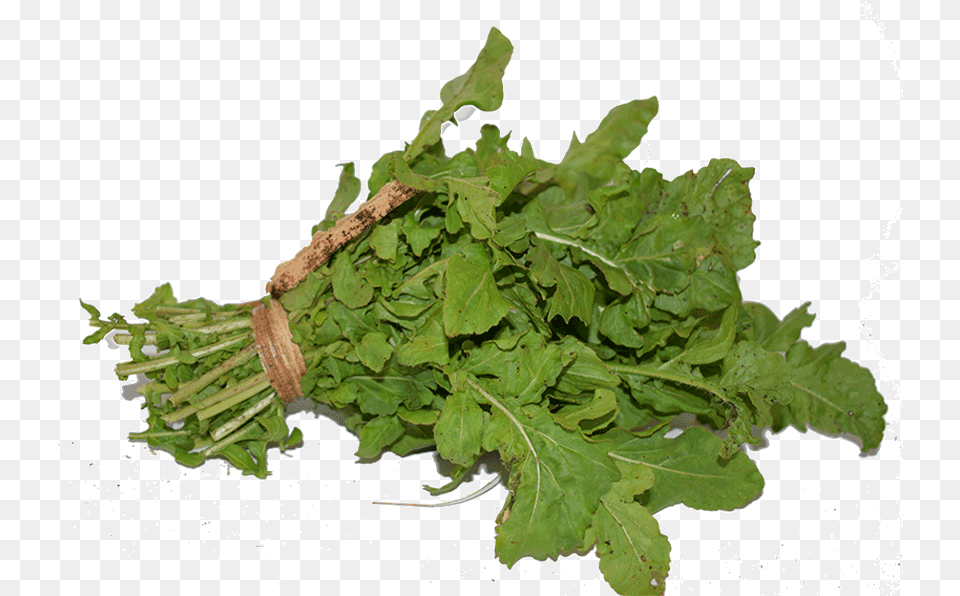 Arugula High Quality Image Parsley, Food, Leafy Green Vegetable, Plant, Produce Free Png Download