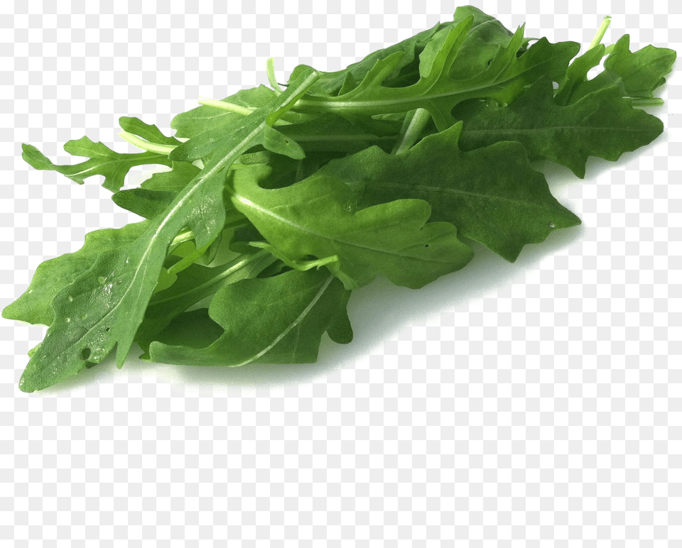 Arugula Images Arugula, Food, Leafy Green Vegetable, Plant, Produce Free Png