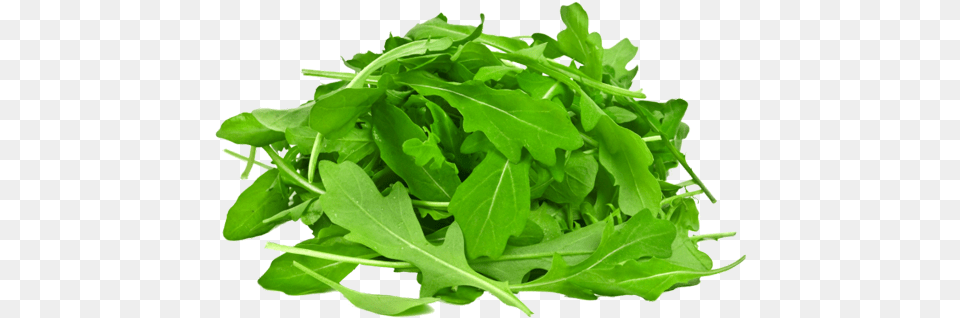Arugula With White Background, Food, Leafy Green Vegetable, Plant, Produce Free Png Download