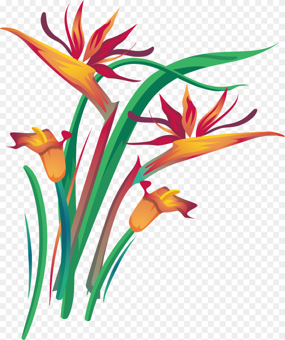 Arum Lily Floral Design Clip Art, Floral Design, Flower, Graphics, Pattern Png Image