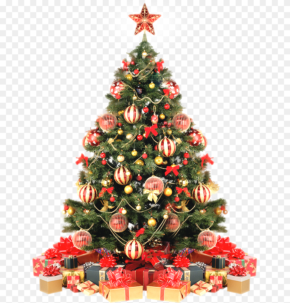 Arvore De Natal Christmas Tree With Gift, Plant, Christmas Decorations, Festival, Christmas Tree Free Png