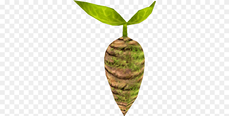 Arwingpedia Star Fox Adventures Alpine Root, Leaf, Plant, Jar, Pottery Free Png