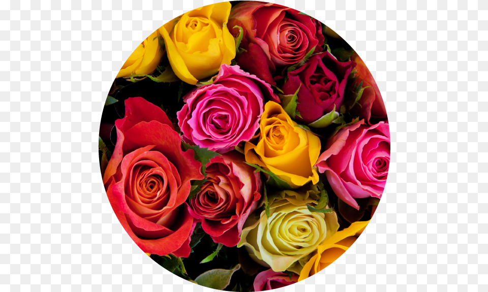 As A Basic Part Of Their Weekly Shopping Trip Colombian Flower Exportation, Flower Arrangement, Flower Bouquet, Plant, Rose Free Png