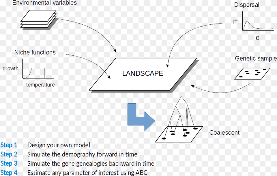 As Nothing Is Never Is This Wild World This Flexibility Diagram Png Image