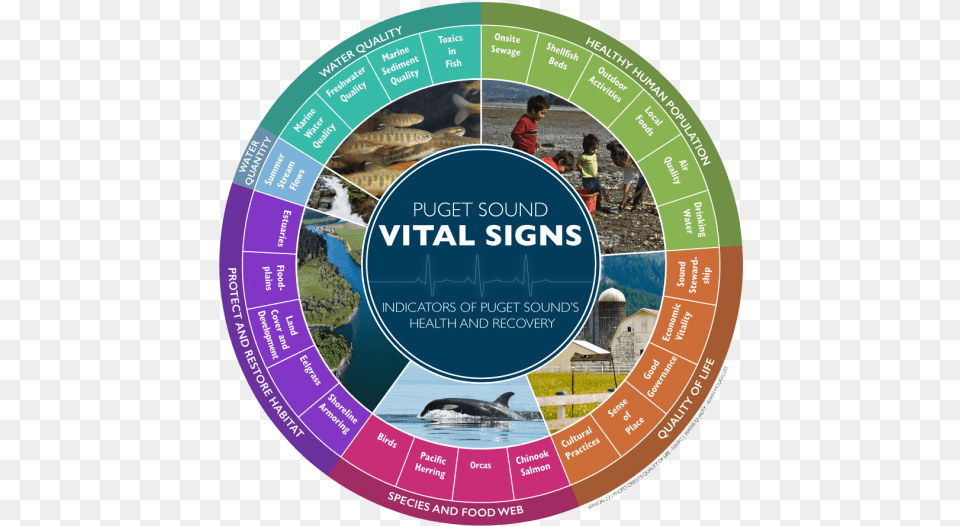 As Of 2016 The Puget Sound Vital Signs Wheel Shows Puget Sound Vital Signs, Person, Advertisement, Poster, Disk Free Png