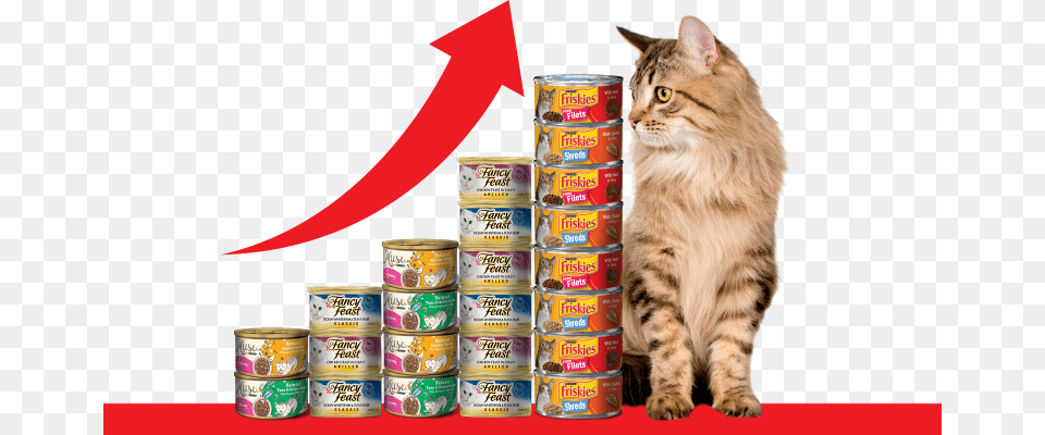 As Pet Food Market Experiences Double Digit Growth Cat, Aluminium, Canned Goods, Can, Tin Png Image