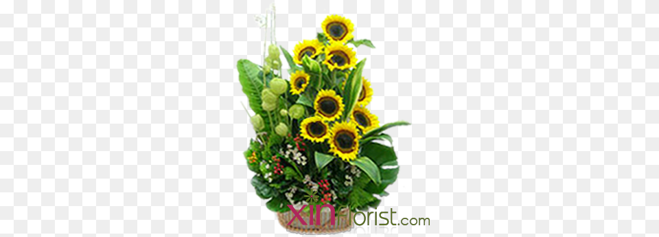 As Picture Garden, Flower, Flower Arrangement, Flower Bouquet, Plant Free Transparent Png