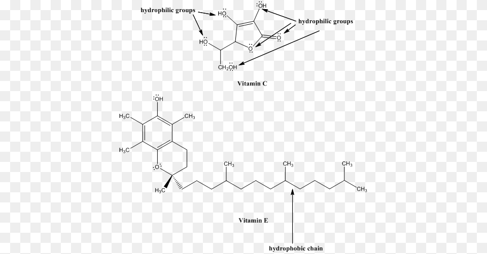 As We Can See In The Above Illustration Vitamin C Is Diagram, Gray Png Image