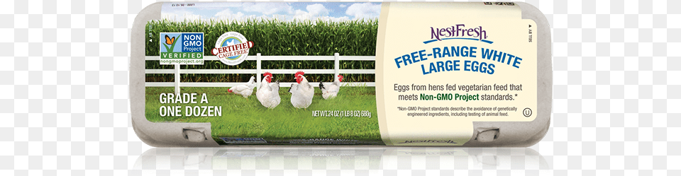 As With All Nestfresh Eggs Our Non Gmo Project Verified Non Gmo Project, Animal, Bird Png Image