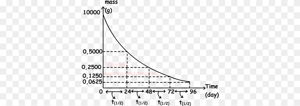 As You Can See From The Graph Mass Decreases With Draw A Half Life Graph, Text Free Png Download