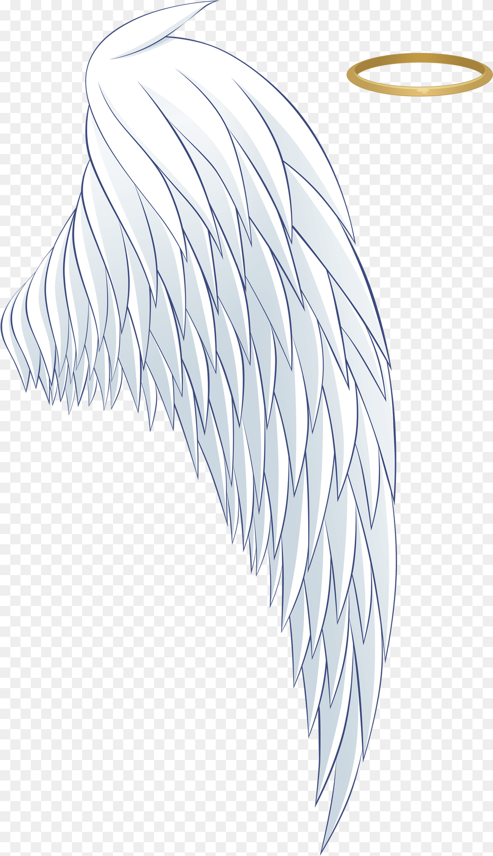 Asa Coroa Angels Transparent Background Angel Wings And Halo, Ice, Animal, Bird, Eagle Free Png