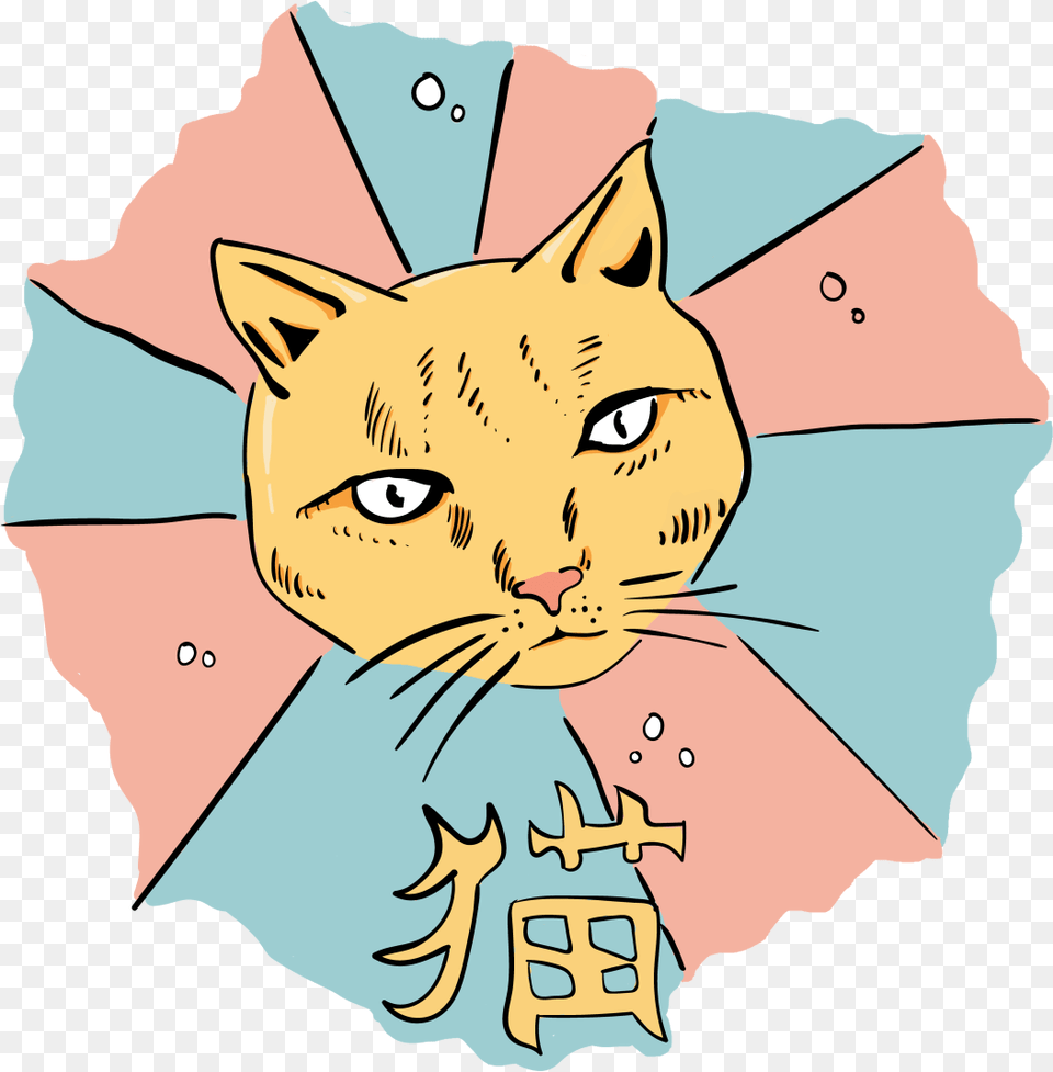 Asain Kitti2 Domestic Short Haired Cat, Baby, Person, Art, Face Free Transparent Png