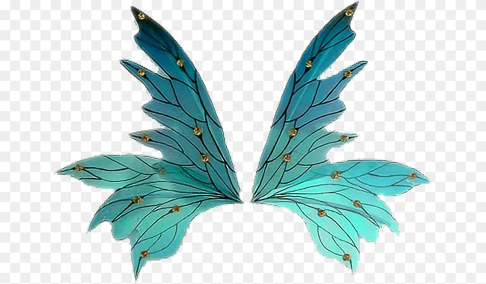 Asas Fada Wings Fairy From Google Illustration, Leaf, Plant, Accessories, Art Png