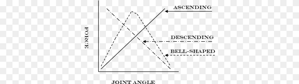 Ascending Descending And Bell Curve Are The Three Bench Press Strength Curve, Gray Free Transparent Png