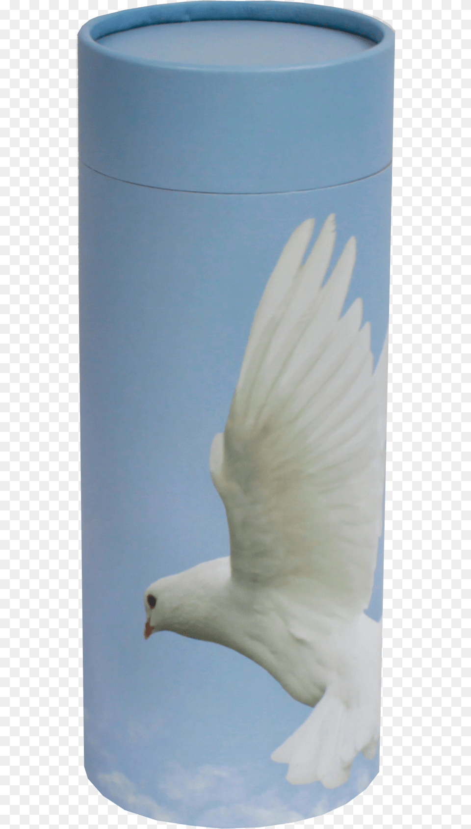 Ascending Dove, Animal, Bird, Pigeon Png