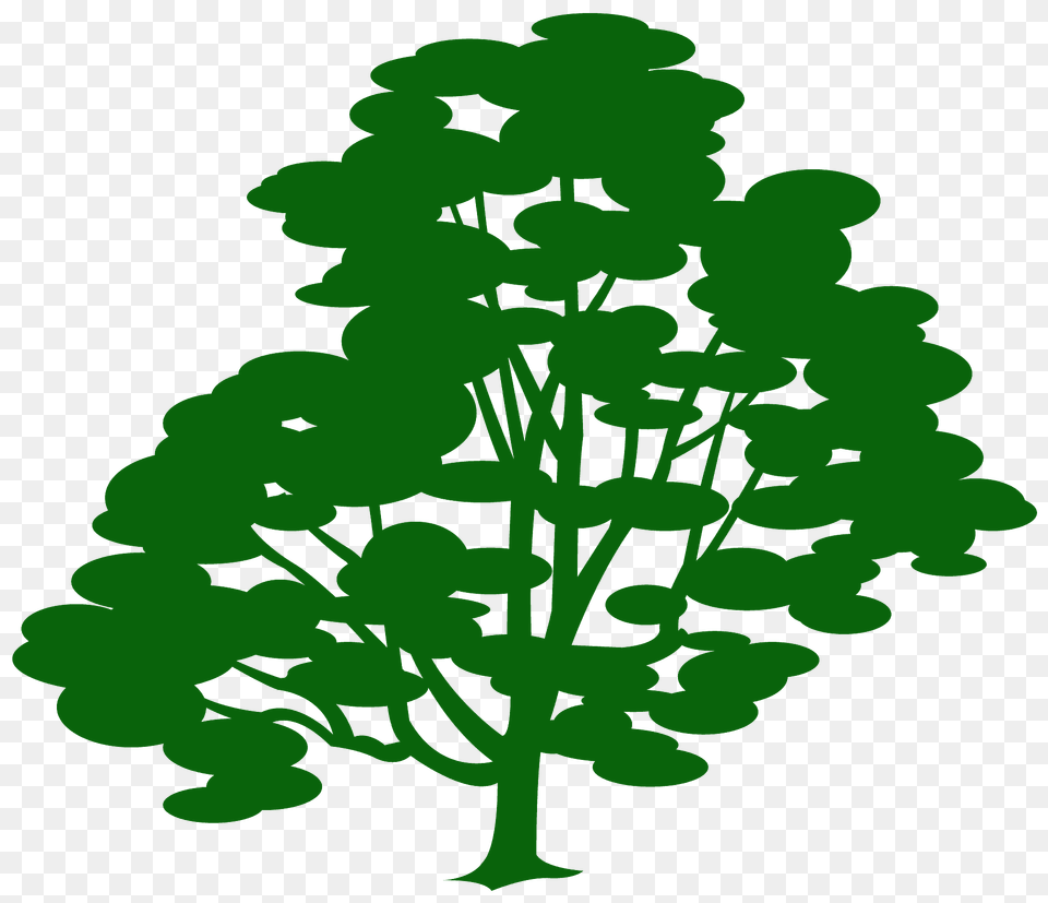 Ash Silhouette, Green, Plant, Tree, Vegetation Png Image