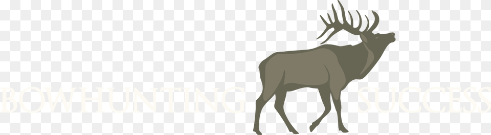 Ashby Library, Animal, Deer, Elk, Mammal Png Image