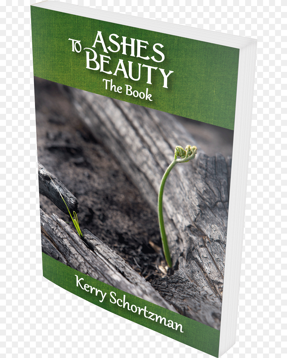 Ashes To Beauty The Book By Kerry Schortzman Flyer, Bud, Flower, Plant, Sprout Png Image