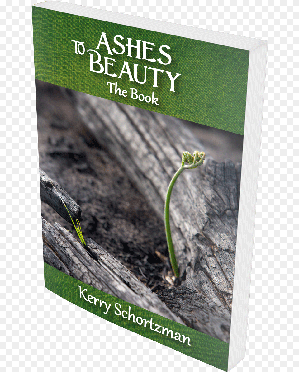 Ashes To Beauty The Book By Kerry Schortzman House Of Fire A Story Of Love Courage And Transformation, Bud, Flower, Plant, Sprout Free Transparent Png