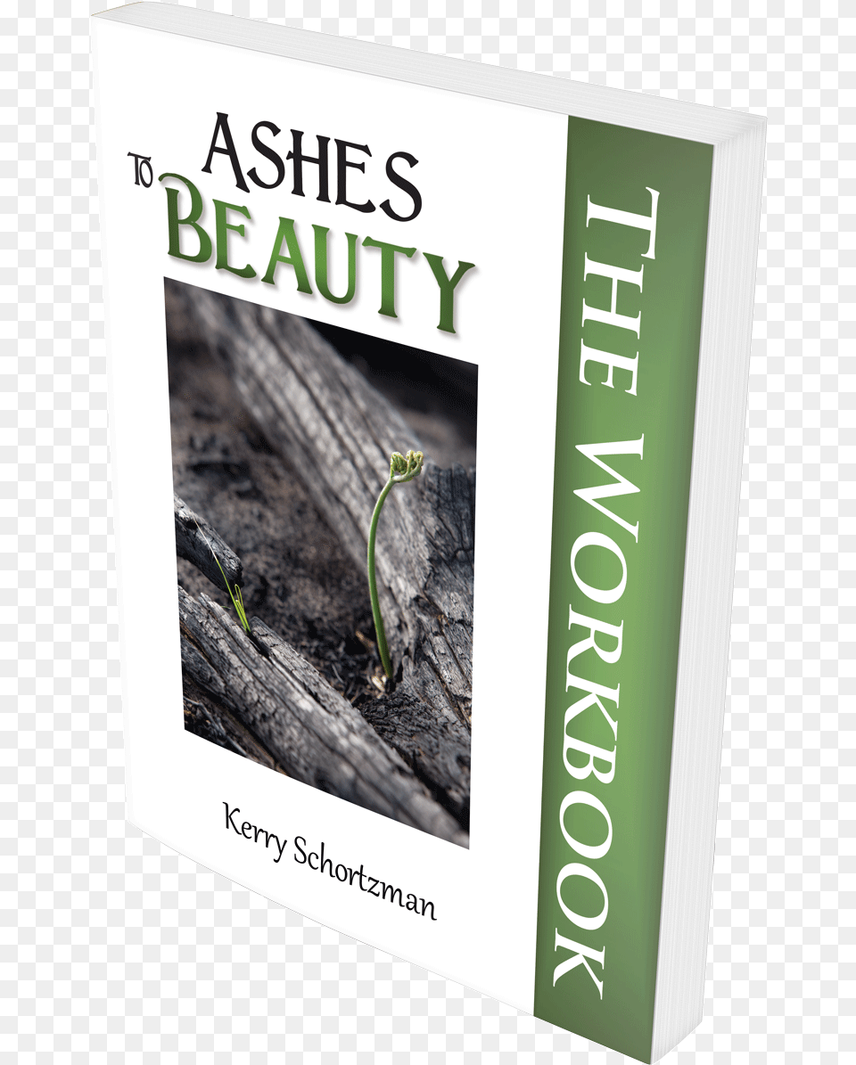 Ashes To Beauty The Workbook A Woman39s Journey Of, Book, Publication, Plant, Sprout Png