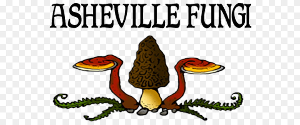 Asheville Fungi For All Your Mushroom Cultivation And Growing Needs, Agaric, Fungus, Plant Free Transparent Png