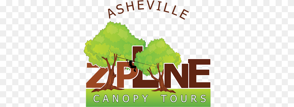 Asheville Zipline Canopy Adventure Adventure Center Of Tree, Plant, Vegetation, Grass, Water Png