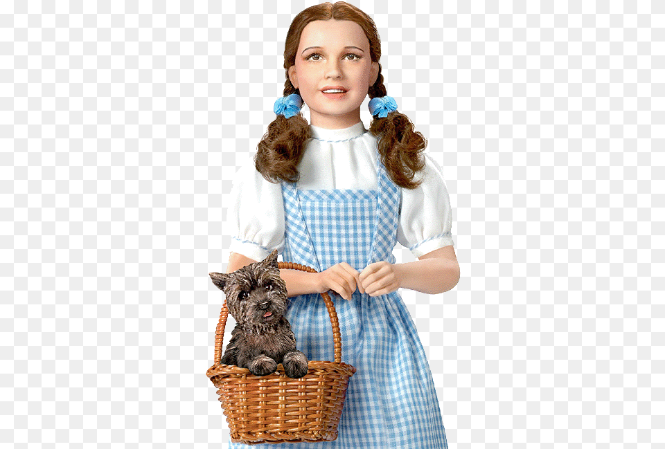 Ashton Drake Dorothy Over The Rainbow Fashion Doll Dorothy Wizard Of Oz Judy Garland, Child, Female, Girl, Person Png