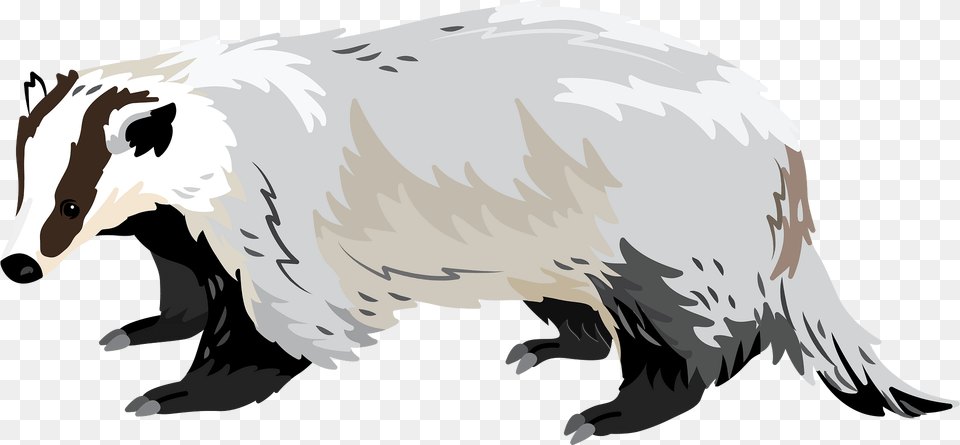 Asian Badger Clipart, Animal, Mammal, Wildlife, Fish Free Transparent Png