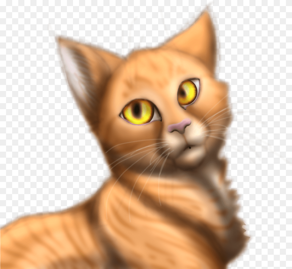 Asian Domestic Short Haired Cat, Animal, Mammal, Pet, Abyssinian Free Png Download