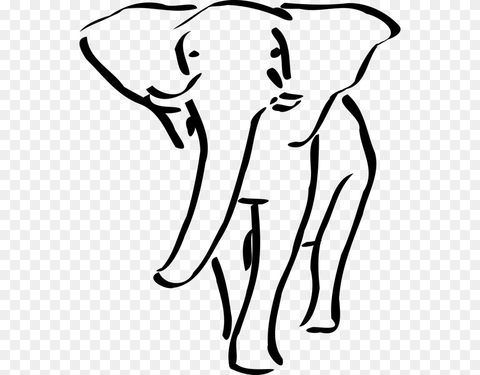 Asian Elephant African Elephant Rhinoceros Elephantidae Coloring, Gray Png