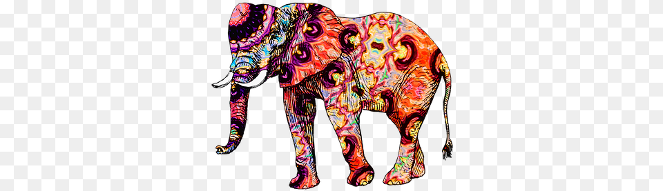 Asian Elephant Clipart Land Animal Colorful Elephant Throw Blanket, Mammal, Wildlife, Adult, Female Png Image