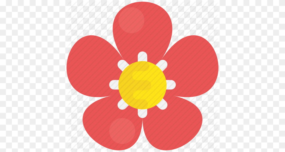 Asian Flower Chinese Flower Flower Peony Pink Flower Icon, Anemone, Daisy, Petal, Plant Free Transparent Png