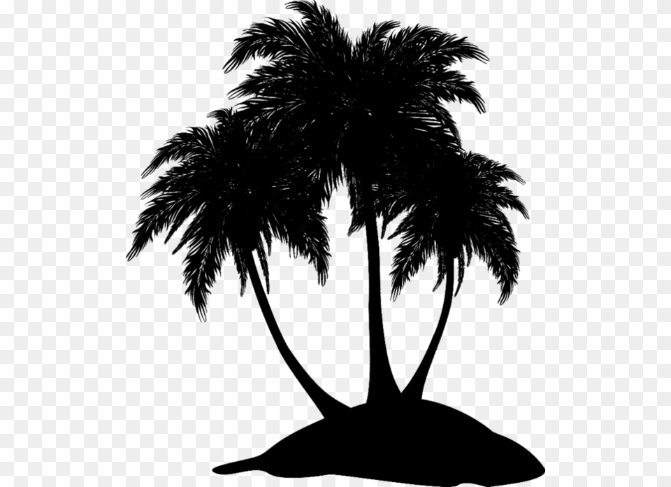 Asian Palmyra Palm Black Amp White Attalea Speciosa, Gray Png