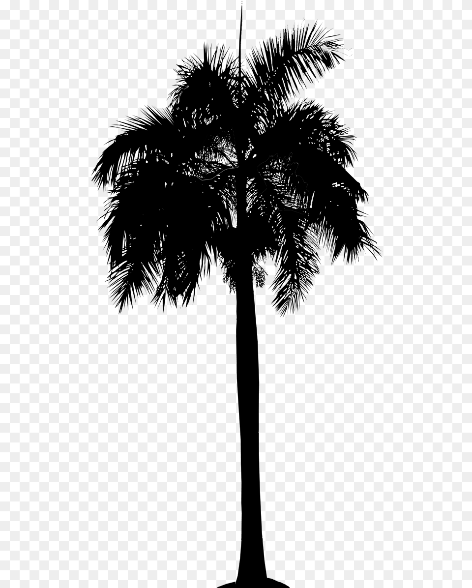 Asian Palmyra Palm Date Palm Leaf Palm Trees Plant Queen Palm Sketchup, Gray Free Transparent Png
