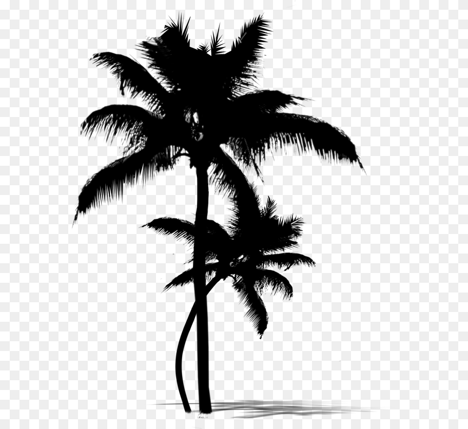 Asian Palmyra Palm Date Palm Leaf Palm Trees Silhouette Island Palm Trees Silhouette, Gray Free Png